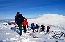 Group of hill walkers climb ridge in winter in Cairngorms NP, Scotland, UK