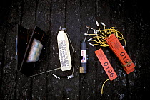 Tagging instruments for Basking shark, Satellite tags x 2, acoustic tag, visual tag, UK