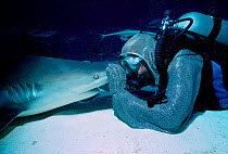 Shark handler holds Caribbean reef shark face-to- face in a hynotic trance, Model released.