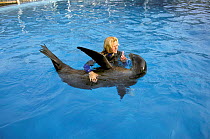 Sealion (Neophoca cinerea) builds up relationship with trainer, California, USA