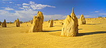 The Pinnacle Desert, Nambung NP near Perth, Western Australia