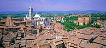 Siena city roof tops and Duomo, Tuscany, Italy