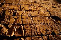 Ancient stone carvings, Luxor temple, Egypt.