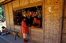 Typical small Filipino retail store, Handumon, Bohol Is, Philippines
