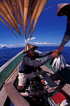 Funae fisherman with skipjacks & tuna, Bunaken Island, Indonesia