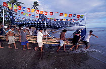 Villagers carry bamboo whale shark down to the sea, Donsol, Philippines