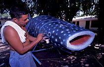 Villagers make bamboo whale shark for fluvial parade at festival, Donsol, Philippines