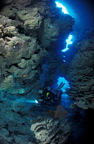 Diver in cave, Great Barrier Reef, Australia