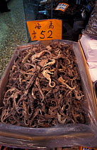 Dried seahorses in a shop for sale, Hong Kong, China