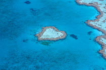 Aerial view of the heart reef within the Hardy Reef, Great Barrier Reef, Australia