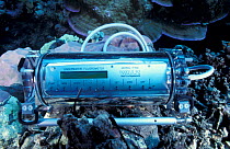 Underwater Fluorometer enables scientists to measure health of coral polyps, Great Barrier Reef