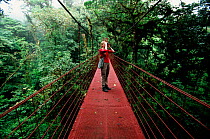 Birdwatching from skywalk in rainforest, Monteverde NP, Costa Rica