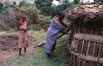 Maasai woman waterproofing hut with cow dung and mud mixture, Olonana village, Kenya