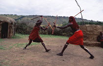 Maasai warriors traditional sport of stick fighting, Olonana village, Kenya