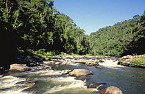 Namorana river and mid-altitude montane rainforest, Ranomafana National Park, Madagascar