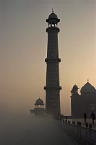 Taj Mahal at dawn, Agra, India