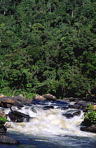 Namorana river and mid-altitude montane rainforest, Ranomafana NP, Madagascar