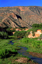 Entrance of Khowarib canon with perennial river flowing, Kaokoveld, Namibia