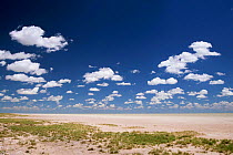 Desert landscape with clouds over the Pan Etosha National Park in rainy season, Namibia