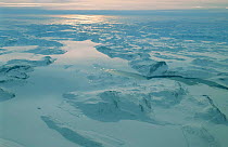 Ice field, Disko Bay, Greenland