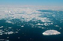 Icebergs and melting pack ice, Disko Bay, Greenland
