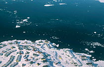 Aerial view of Illulissat (population 4000) Disko Bay, Greenland