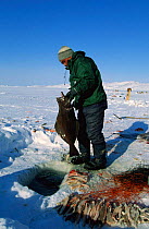 Professional fisherman fishing for Halibut through ice hole, Greenland. uses 800m long line
