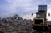 Landfill site, East London, UK