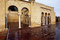 Ruins of Basilica, Madinat Al Zahra, Cordoba, Spain