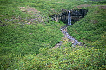 Svartifoss waterfall, Skaftafell NP, Iceland
