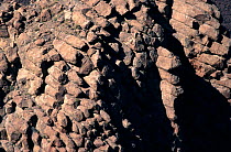 Basalt log structures formed by volcanic activity, El Teide, Canadas National Park, Tenerife