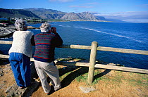 Watching Southern right whales from the coast, Western Cape, South Africa {Balaena glacialis australis}