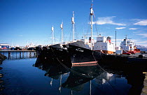 Whaling boats at Whaling station, Reykjavik, Iceland