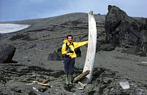 Whaling - Bowhead whale rib bone {Balaena mysticetus} Norway