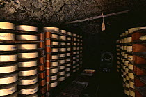 Storage of Mountain cheese 'fontine', Aoste, the alps, Italy