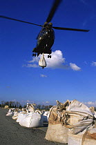 Helicopter dropping sand sacks, dam breach of Rhone, Arles, Camargue, France, December 2003