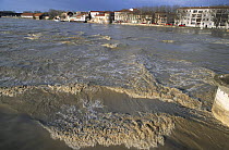River Rhone in flood, Arles, Camargue, France, December 2003