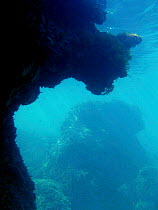 Rocky overhang underwater Spain Mediterranean