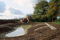Construction of new pond for Great crested newts, Stone, Staffordshire, UK