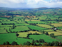 Patchwork pattern of fields and hedges, River Onny valley, Shropshire, England