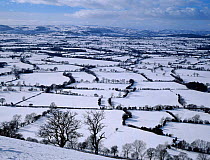 Patchwork pattern of fields and hedges, River Onny valley, Shropshire,England