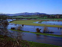 River Severn valley in flood, Kempsey, Worcestershire, UK