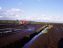 Stripping peat from Chat Moss, Greater Manchester, UK