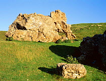 The Banbury Stone / Elephant stone composed of oolite, Bredon Hill, Worcestershire, England
