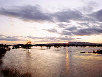 Sunset over River Severn in flood, Worcestershire, UK
