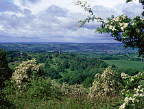 View from Abberly Hill with flowering Hawthorn in foreground, Worcestershire,