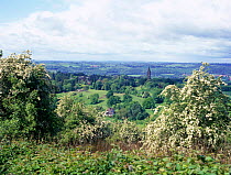 View from Abberly Hill with flowering Hawthorn in foreground, Worcestershire, UK
