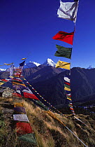 Prayer flags, Poonhill, Ghorepani, Annapurna region, Nepal.