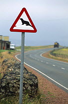 Road sign warning of European river otter {Lutra lutra} Shetland Islands, Scotland, UK