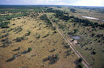Fence to separate wild from domestic cattle foot & mouth disease control Okavango delta